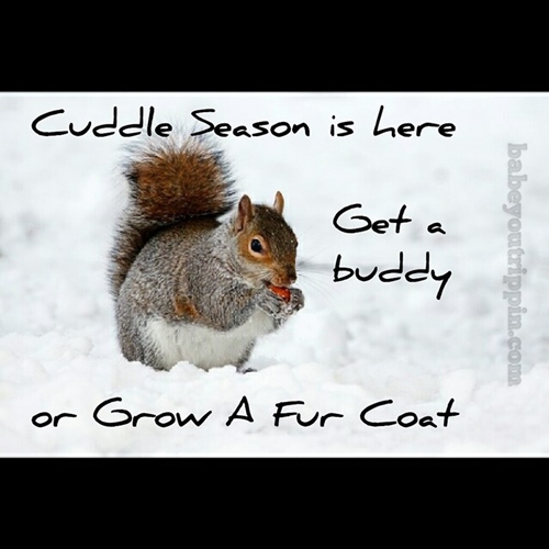 Its_Cuddle_Season